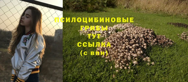 mdpv Тихвин
