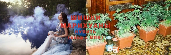 прущие крисы Тихорецк