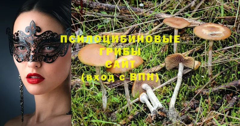 Галлюциногенные грибы Magic Shrooms  Фёдоровский 