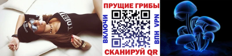 Псилоцибиновые грибы Psilocybine cubensis  Фёдоровский 